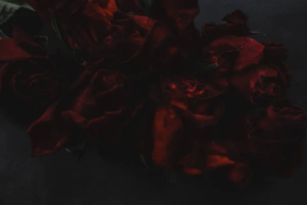 Red roses rosa dry flowers as floral autumn dark black vintage botanical grainy noisy blurred romantic intimate decorative pattern background wallpaper backdrop