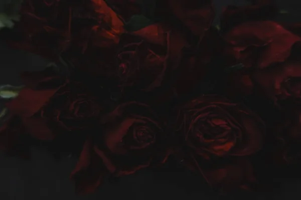 Rosas Rojas Rosas Flores Secas Como Floral Otoño Negro Oscuro — Foto de Stock