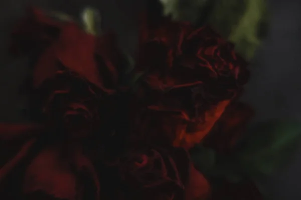 红玫瑰蔷薇干花朵如花朵秋天漆黑的黑色复古植物杂音朦胧浪漫的亲密装饰图案墙纸背景图 — 图库照片