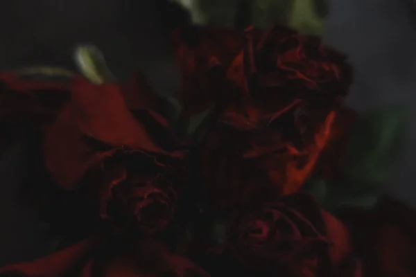 Rosas Rojas Rosas Flores Secas Como Floral Otoño Negro Oscuro —  Fotos de Stock
