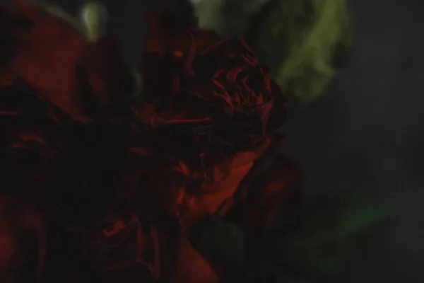 Roses Rouges Rosa Fleurs Sèches Comme Floral Automne Sombre Noir — Photo