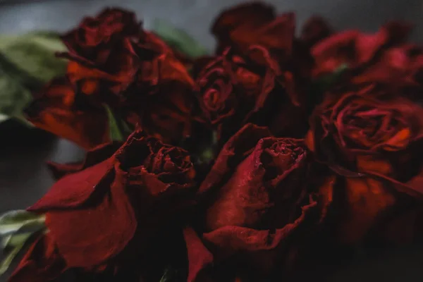 Červené Růže Růžové Suché Květiny Jako Květinový Podzim Tmavé Černé — Stock fotografie
