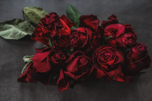 Roșu Trandafiri Rosa Flori Uscate Floral Toamna Întuneric Negru Vintage — Fotografie, imagine de stoc