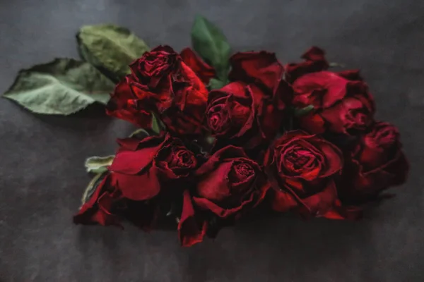 Piros Rózsa Rózsa Száraz Virágok Mint Virágos Ősz Sötét Fekete — Stock Fotó