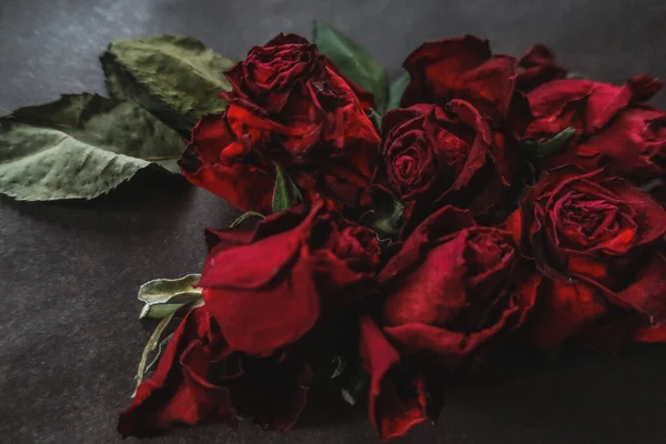 Red Roses Rosa Dry Flowers Floral Autumn Dark Black Vintage — Stock Photo, Image