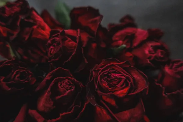 Rosas Rojas Rosas Flores Secas Como Floral Otoño Negro Oscuro —  Fotos de Stock