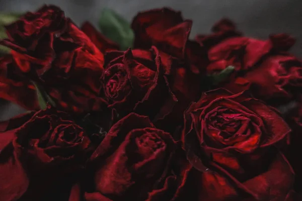 Червоні Троянди Троянди Сухі Квіти Квіткова Осінь Темно Чорний Вінтажний — стокове фото