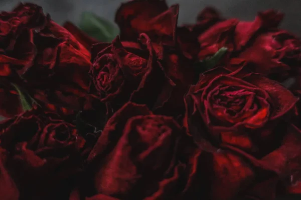 Czerwone Róże Rosa Suche Kwiaty Jako Kwiatowa Jesień Ciemny Czarny — Zdjęcie stockowe