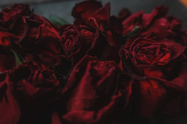 Rosas Vermelhas Rosa Flores Secas Como Floral Outono Escuro Preto — Fotografia de Stock