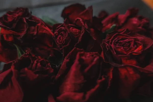 Rosas Vermelhas Rosa Flores Secas Como Floral Outono Escuro Preto — Fotografia de Stock