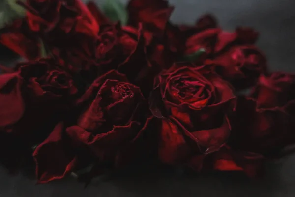 Κόκκινα Τριαντάφυλλα Rosa Ξηρά Λουλούδια Floral Φθινόπωρο Σκούρο Μαύρο Vintage — Φωτογραφία Αρχείου