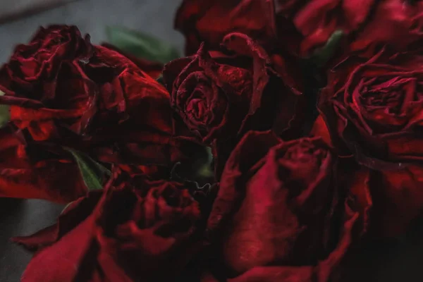 Rosas Vermelhas Rosa Flores Secas Como Floral Outono Escuro Preto — Fotografia de Stock