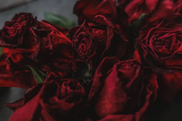 赤いバラは花の秋としてドライな花をバラ黒いヴィンテージ植物穀物騒々しいぼやけたロマンチックな親密な装飾パターンの背景壁紙の背景 — ストック写真