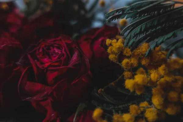 Rosas Rojas Rosas Flores Secas Como Floral Otoño Negro Oscuro — Foto de Stock