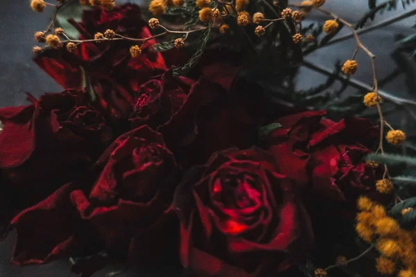 Κόκκινα Τριαντάφυλλα Rosa Ξηρά Λουλούδια Floral Φθινόπωρο Σκούρο Μαύρο Vintage Royalty Free Εικόνες Αρχείου
