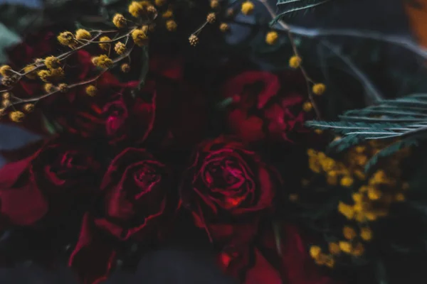 Κόκκινα Τριαντάφυλλα Rosa Ξηρά Λουλούδια Floral Φθινόπωρο Σκούρο Μαύρο Vintage Εικόνα Αρχείου