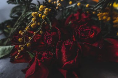 Kırmızı güller, güller, güller, güller, güller, güller, güller, güller, güller, güller, güller, güller.