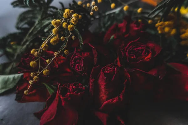 红玫瑰蔷薇干花朵如花朵秋天漆黑的黑色复古植物杂音朦胧浪漫的亲密装饰图案墙纸背景图 — 图库照片