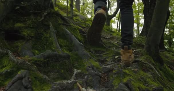 男は山に登っている。彼の足のクローズアップ。彼は木の根を通って行く。山の中でハイキング。4K DCI — ストック動画