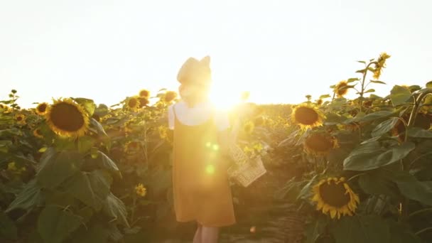 Uśmiechnięta kobieta niesie kosz kwiatów. Krąży w polu słoneczników. Zachód słońca. 4K — Wideo stockowe