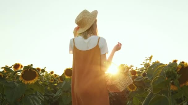Kobieta idzie przez pole słoneczników z koszykiem kwiatów w rękach. Nosi słomkowy kapelusz. Zachód słońca. 4K — Wideo stockowe