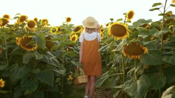 Una mujer camina por un campo de girasoles con una cesta de flores en las manos. Ella sostiene un sombrero de paja en su mano. 4K — Vídeo de stock