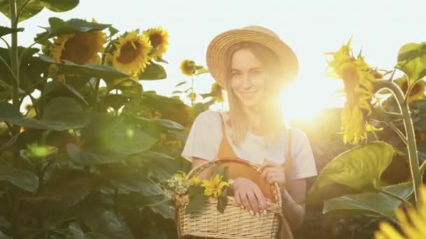 Жінка стоїть через поле соняшників з кошиком квітів у руках. Захід сонця. 4-кілометровий — стокове відео