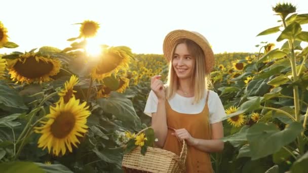 Kobieta idzie przez pole słoneczników z koszykiem kwiatów w rękach. Uśmiecha się i patrzy w obiektyw. Zachód słońca. 4K — Wideo stockowe