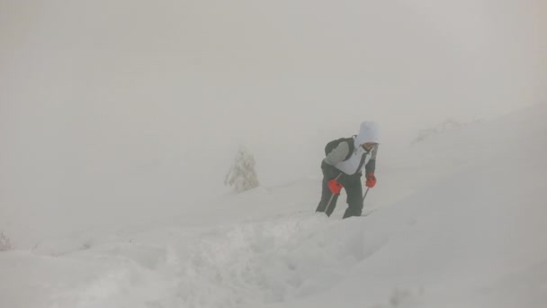 Eine junge Frau versucht, einen schneebedeckten Berg zu erklimmen. Es weht starker Wind und es schneit. Sie steigt mit Hilfe von Trekkingstöcken auf. 4K — Stockvideo