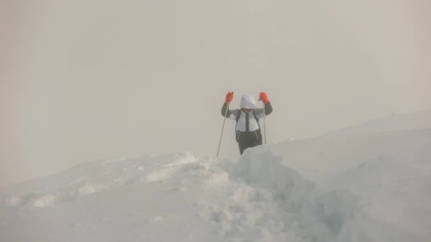 En ung kvinna försöker bestiga ett snötäckt berg. Det är stark vind och snö. Pikui-berget. 4K — Stockvideo