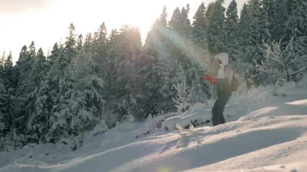 En ung kvinna kommer ner från ett snötäckt berg. Hon reser sig med hjälp av vandringsstavar. Snötäckt skog i bakgrunden. Pikui-berget. 4K — Stockvideo