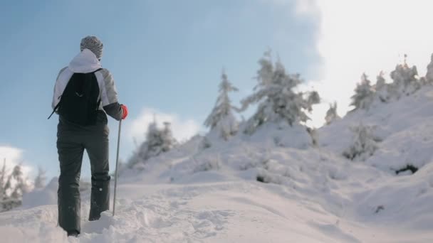 Een jonge vrouw klimt langzaam naar de top van een besneeuwde berg. Ze rijst op in haar handen met wandelstokken. Schieten van achteren. Berg Pikui — Stockvideo