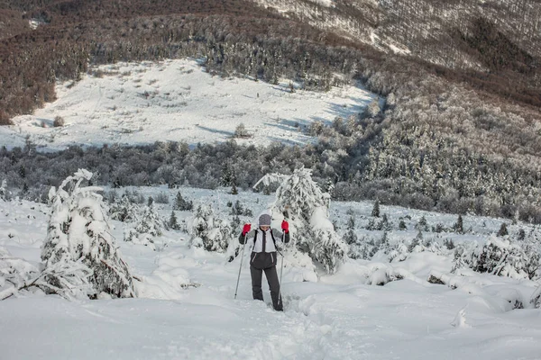 Genç bir kadın karla kaplı bir dağa çıkıyor. O, yürüyüş direkleri yardımıyla yükseliyor. Pikui Dağı.