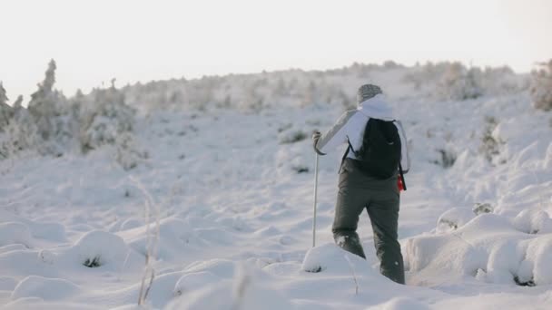 En ung kvinna klättrar sakta upp på ett snötäckt berg. Hon reser sig i sina händer med trekking pinnar. Berget Pikui. — Stockvideo