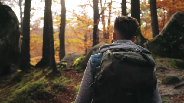 Un hombre camina por el bosque de otoño. Está disfrutando de la naturaleza. Grandes rocas en el fondo. Senderismo en las montañas. 4K — Vídeos de Stock