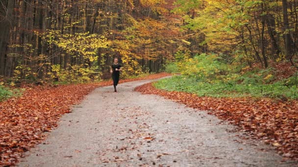O atleta está correndo ao longo de uma estrada florestal e olhando para a câmera. Treino de corrida na floresta de outono. A disparar por trás. 4K — Vídeo de Stock