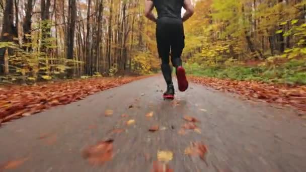 Sparare alle gambe di un atleta di corsa. Allenamento in esecuzione nella foresta autunnale. Sparando dal basso e dietro. 4K — Video Stock