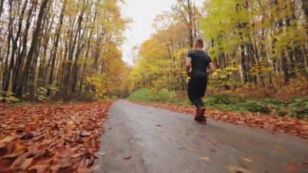 Sportowiec biegnie leśną drogą. Trening biegowy w jesiennym lesie. 4K — Wideo stockowe