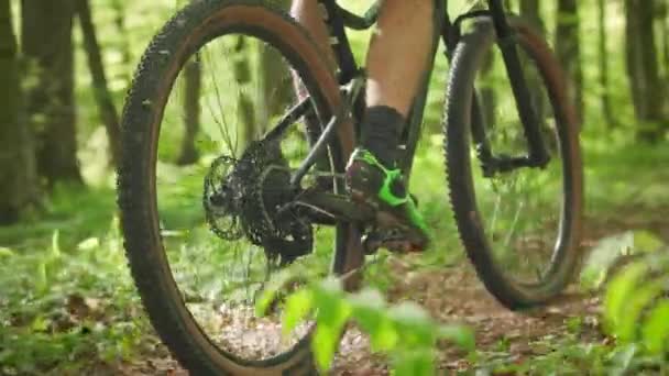 Un hombre en una bicicleta MTB está paseando por el bosque. Los primeros planos del pie de un atleta están pedaleando. La cámara está disparando desde atrás y moviéndose con él. 4K — Vídeos de Stock