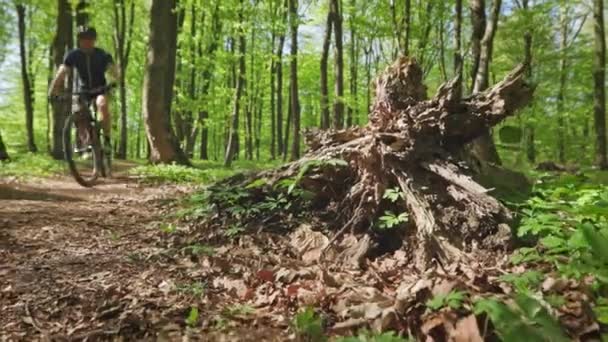 Um ciclista em uma bicicleta MTB está entrando em uma curva na velocidade. Ele está a treinar na floresta. Ele está a dar a volta a uma árvore caída. 4K — Vídeo de Stock