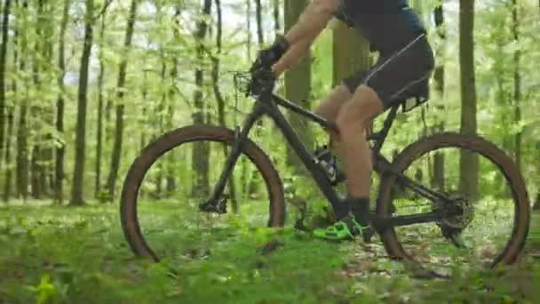 Mężczyzna na rowerze MTB jedzie przez las. Trenuje przed zawodami. Kamera nagrywa z boku i porusza się z nim. 4K — Wideo stockowe