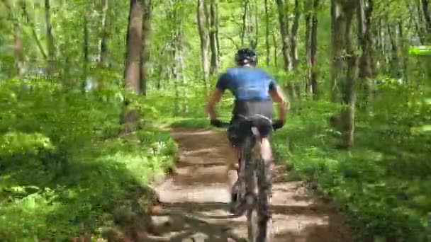 Ein Mann trainiert auf einem MTB-Rad. Er ist schnell auf einem Waldweg unterwegs. Er trägt Fahrradkleidung. Die Kamera verfolgt ihn von hinten. 4K — Stockvideo