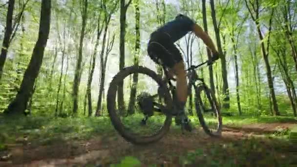 Ein Radfahrer rast mit hoher Geschwindigkeit durch den Wald. Er trägt Fahrradbekleidung. Er steht auf und tritt in die Pedale. Schießen von hinten. 4K 50fps — Stockvideo