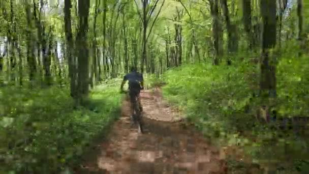 Un ciclist coboară în jos la viteză mare. Se antrenează pe o bicicletă MTB în pădure. Poartă uniformă de bicicletă. Camera se mişcă în spatele lui. 4K 50fps — Videoclip de stoc