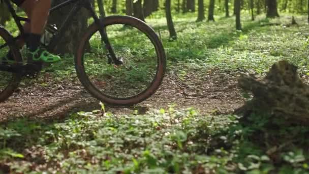 Велосипедист едет по лесной тропе. Он обходит упавшее дерево. Камера фокусируется на велосипеде. Солнце светит ярко. 4K — стоковое видео