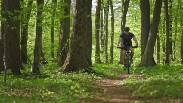 Rowerzysta jedzie leśnym szlakiem rowerowym. Trening na rowerze MTB. Ma na sobie sprzęt rowerowy. 4K — Wideo stockowe