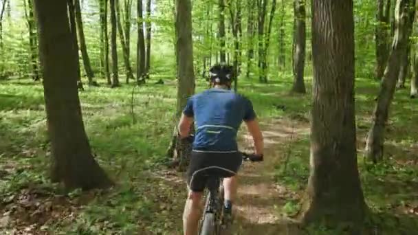 Un uomo in bicicletta sta pedalando lungo un sentiero nel bosco. La telecamera lo sta seguendo da dietro. Indossa l'attrezzatura da ciclismo. 4K 50fps — Video Stock