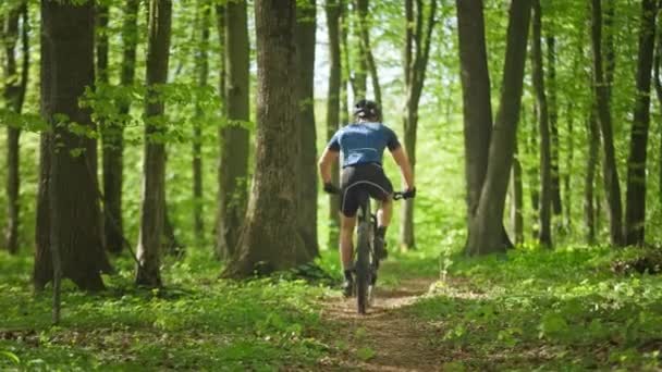 Mężczyzna na rowerze jedzie leśną ścieżką. Ma na sobie sprzęt rowerowy. Strzelają od tyłu. Trening na rowerze MTB. 4K — Wideo stockowe