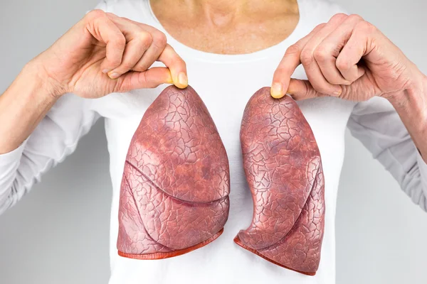 Woman holding two lung models in front of chest — Stock Photo, Image