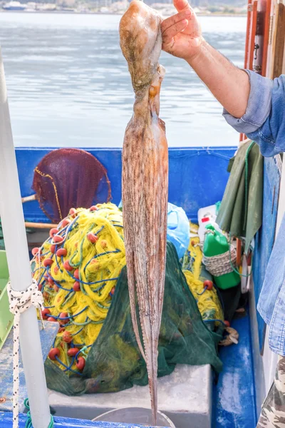 Bras montrant la pieuvre suspendue sur un bateau de pêche — Photo